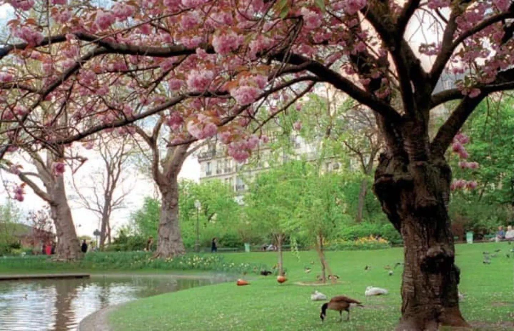 Cocoon In The Heart Of Batignolles | By Airnest Daire Paris Fransa